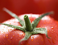 Dieta del tomate. Para adelgazar comiendo tomate !